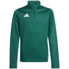 adidas Entrada 26 Training Top green kids sweatshirt KE9825