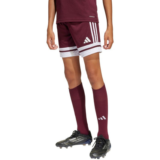 Shorts adidas Squadra 25 Jr JC8665 Clothing/Football Adidas