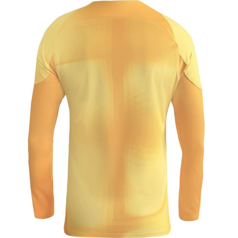 Nike Gardien IV Goalkeeper JSY M DH7967 719 goalkeeper shirt Clothing/Football Nike