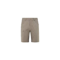 MILLET Ubic Stretch Short M beige men's shorts