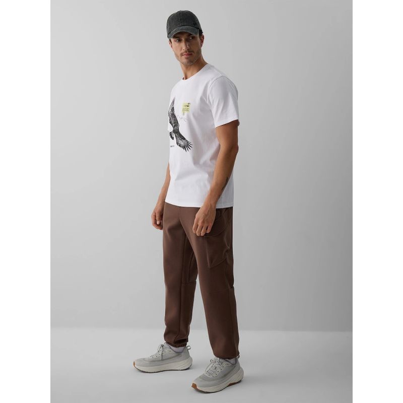Men's cargo sweatpants 4F 4FRAW26TTROM2091-81S
