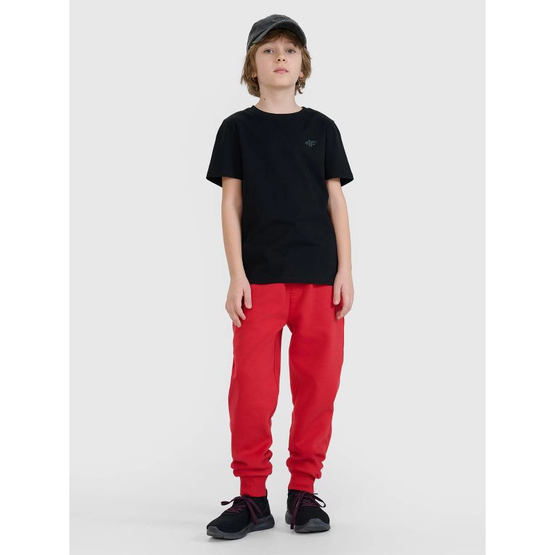 Boys' joggers sweatpants 4F 4FJWSS25TTROM1112-62S *Kategoria tymczasowa Your Sports Performance