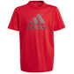T-shirt adidas Big Logo Tee Jr IJ6262 Clothing/Lifestyle/T-shirts Adidas