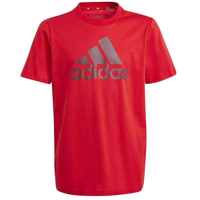 T-shirt adidas Big Logo Tee Jr IJ6262 Clothing/Lifestyle/T-shirts Adidas