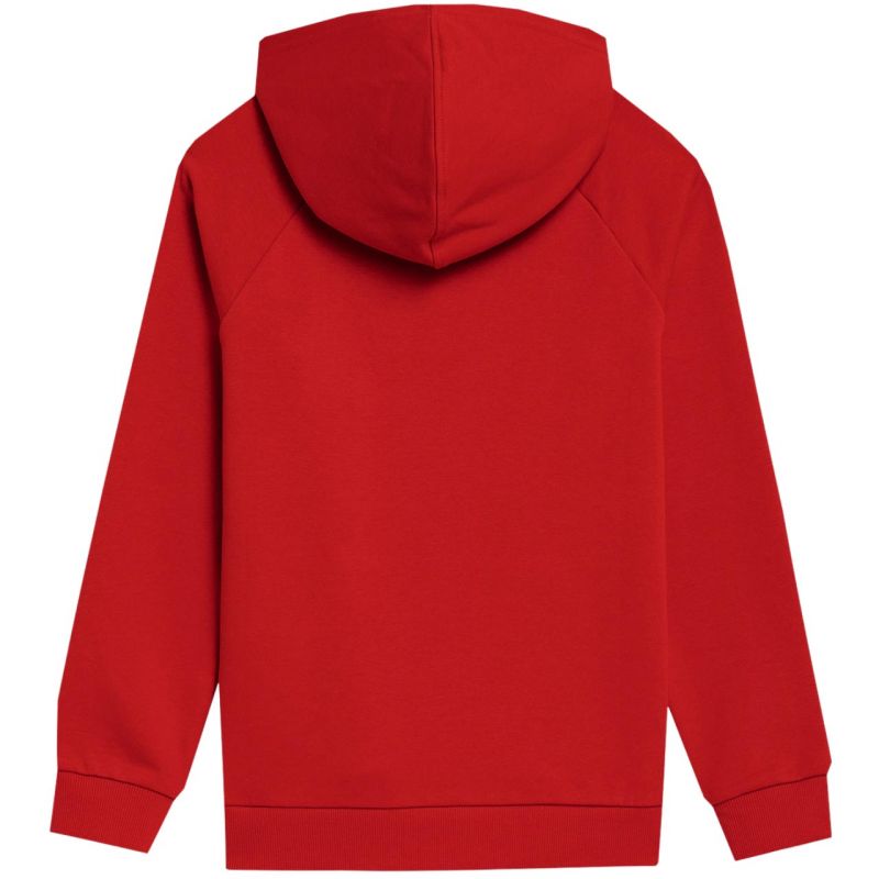 Sweatshirt 4F Jr. 4FJSS23TSWSM220 62S Clothing/Lifestyle/4F 4F