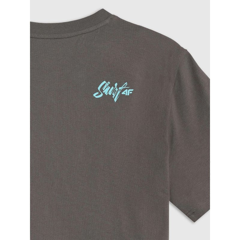 Men's regular printed T-shirt 4F 4FRSS26TTSHM4295-22S