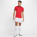 Nike Academy 25 SS Top M FZ9754 657 Clothing/Football Nike