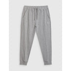 Men's jogger sweatpants 4F 4FRAW25TTROM1671-27M *Kategoria tymczasowa Your Sports Performance