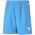 Puma teamRise Short Jr 704943 18 Clothing/Training Puma