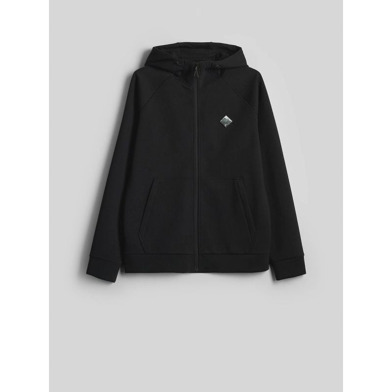 Men's regular hooded sweatshirt 4F 4FRAW26TSWSM3161-20S