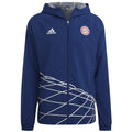 Jacket adidas FC Bayern GR WB M HT8828 Clothing/Football Adidas