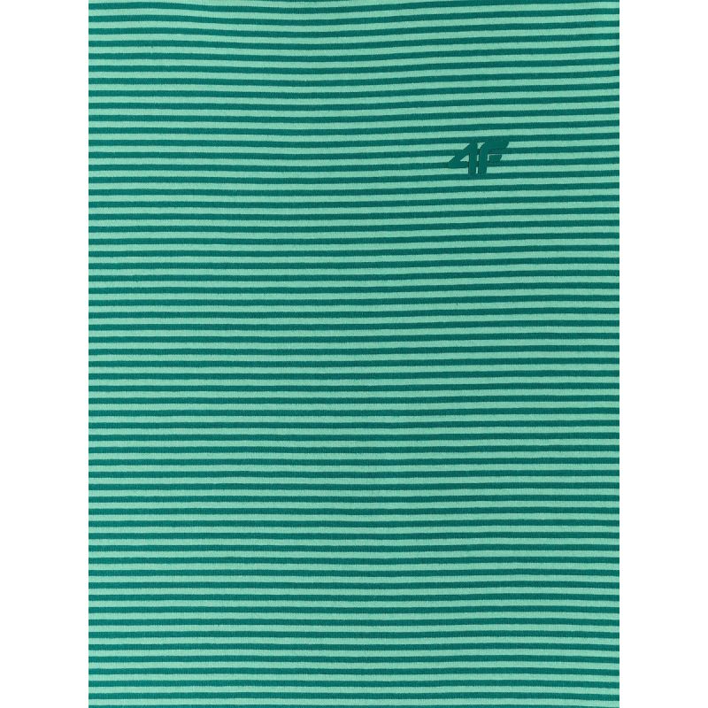 Regular women's T-shirt 4F 4FRSS26TTSHF3702-41S 4f