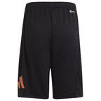 Shorts adidas TR-ES Logo Shorts Jr. IC5658 Clothing/Training Adidas