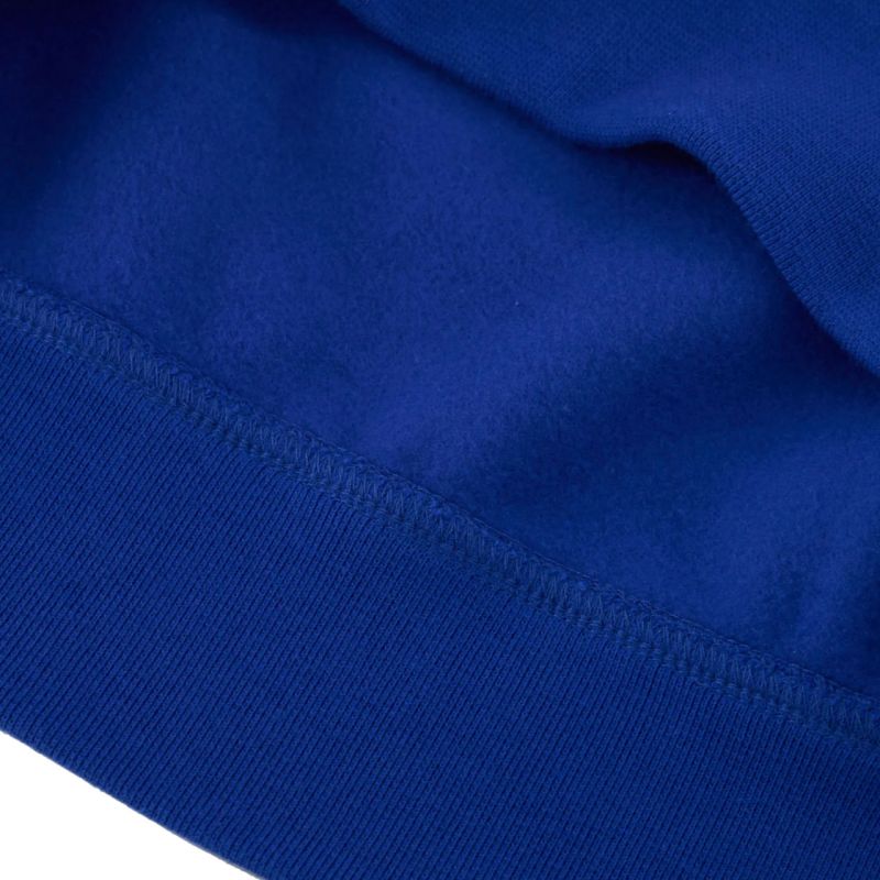 Champion Hooded M 220253 BS008 sweatshirt Clothing/Lifestyle/Champion Your Sports Performance