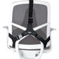 Fellowes Ergonomics Professional Back Support Cushion In preparation Your Sports Performance