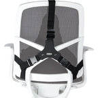 Fellowes Ergonomics Professional Back Support Cushion In preparation Your Sports Performance
