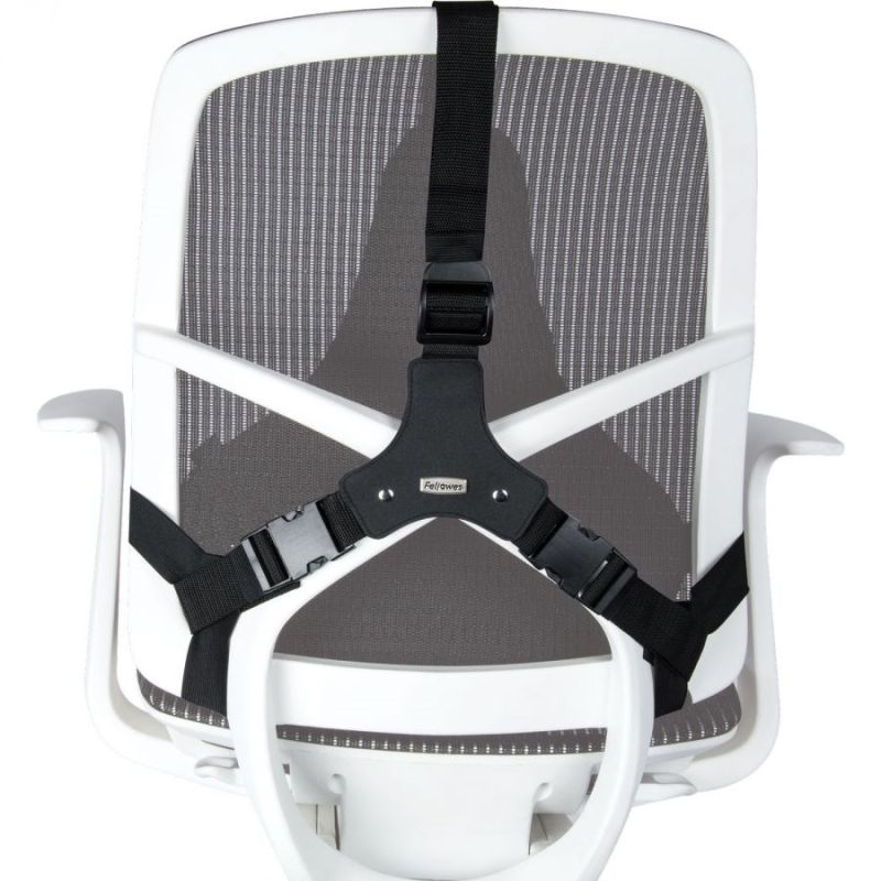 Fellowes Ergonomics Professional Back Support Cushion In preparation Your Sports Performance