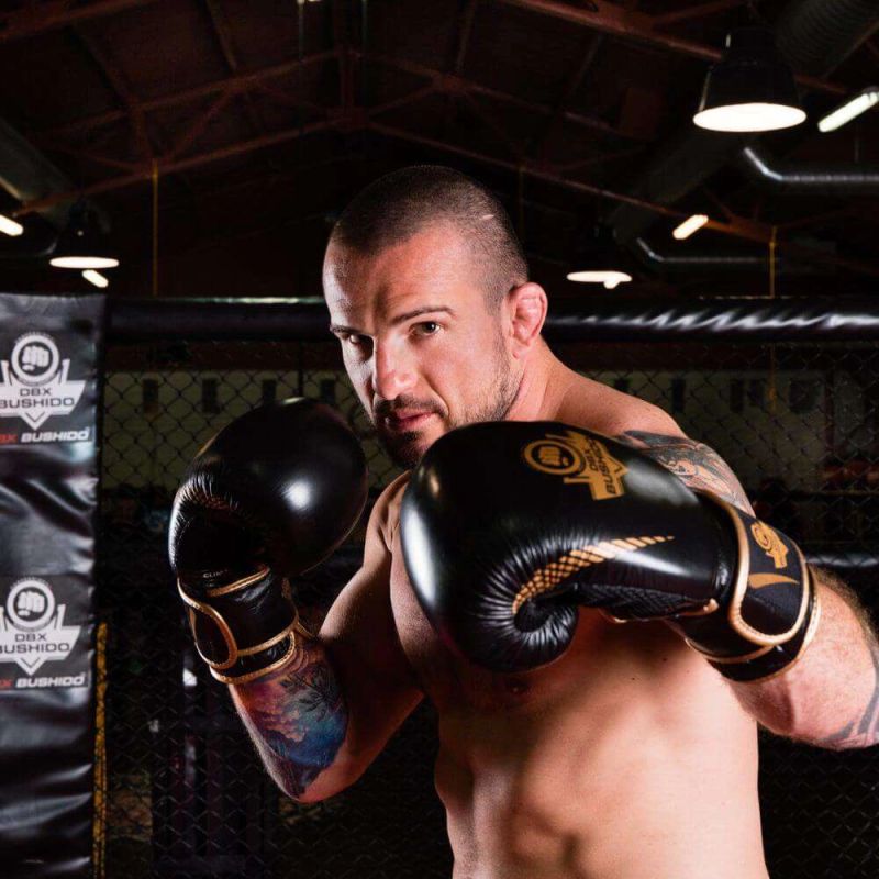 10oz Boxing Gloves - Aureos - Valor Series rękawice treningowe Your Sports Performance