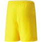 Puma teamRise Short Jr 704943 07 Clothing/Training Puma