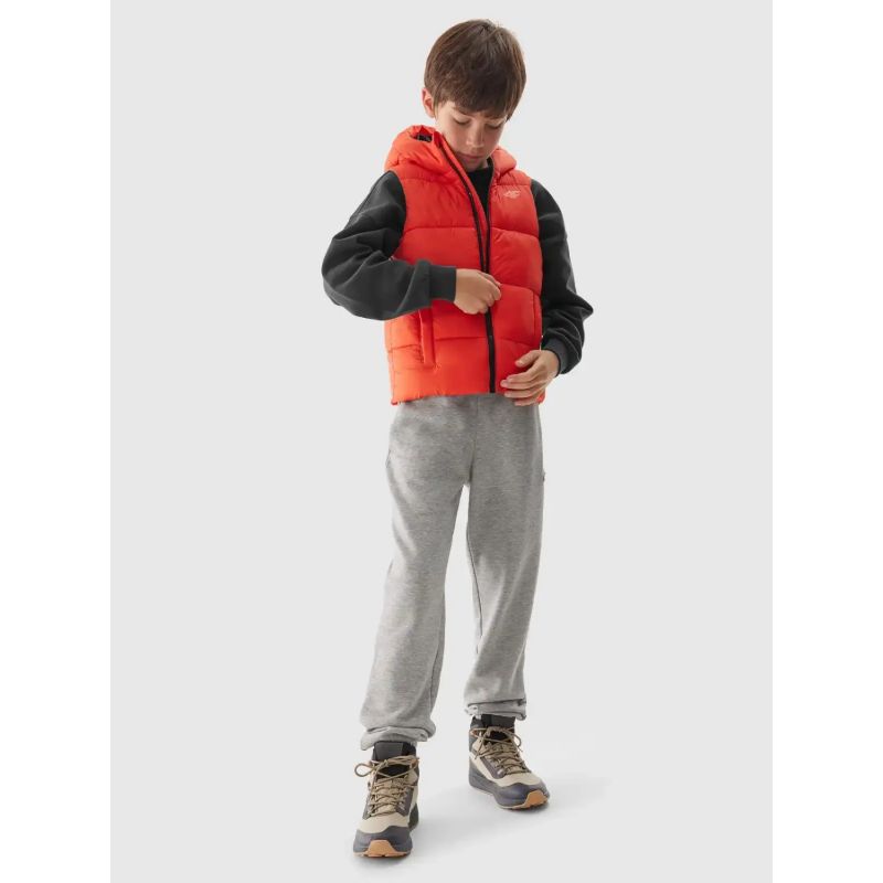 Jacket, sleeveless 4F Jr 4FJWAW24TVJAM134-70S Clothing/Outdoor 4F
