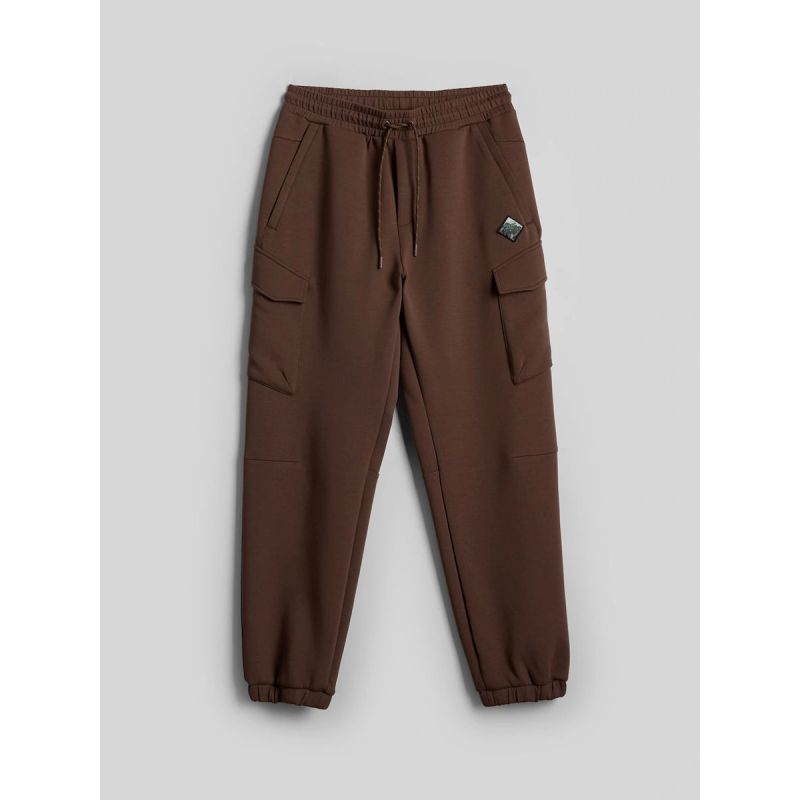 Men's cargo sweatpants 4F 4FRAW26TTROM2091-81S