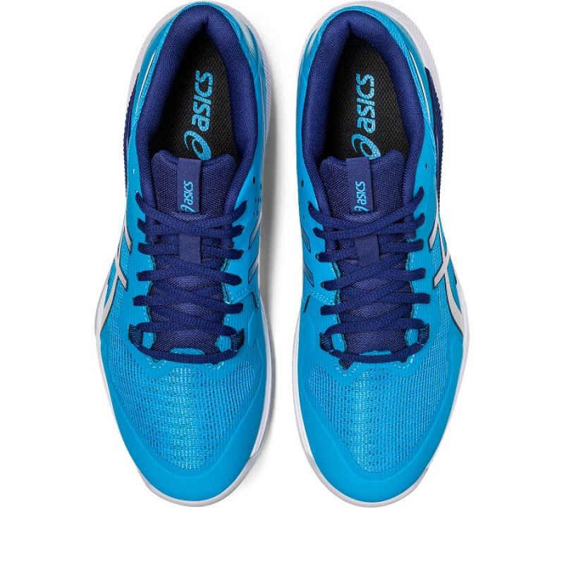Asics Gel Tactic M 1071A065-401 shoes Footwear/Handball/Men Asics