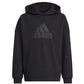 Sweatshirt adidas FI Logo HD Jr. HR6301 Clothing/Lifestyle Adidas