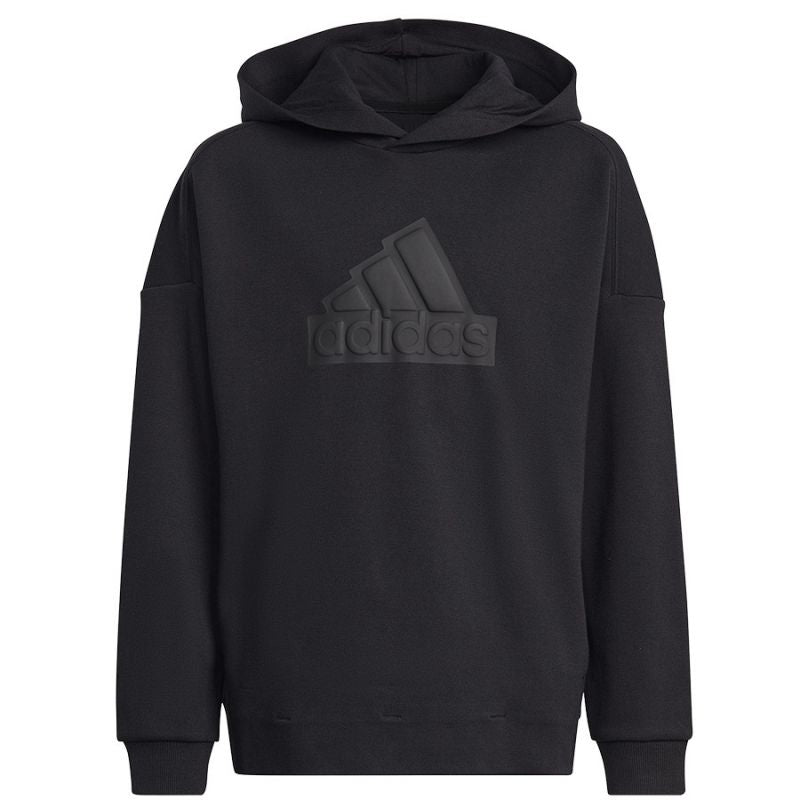 Sweatshirt adidas FI Logo HD Jr. HR6301 Clothing/Lifestyle Adidas