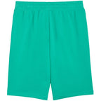 Puma ESS No.1 Logo 10" Men's Shorts (s) Green 682595 40