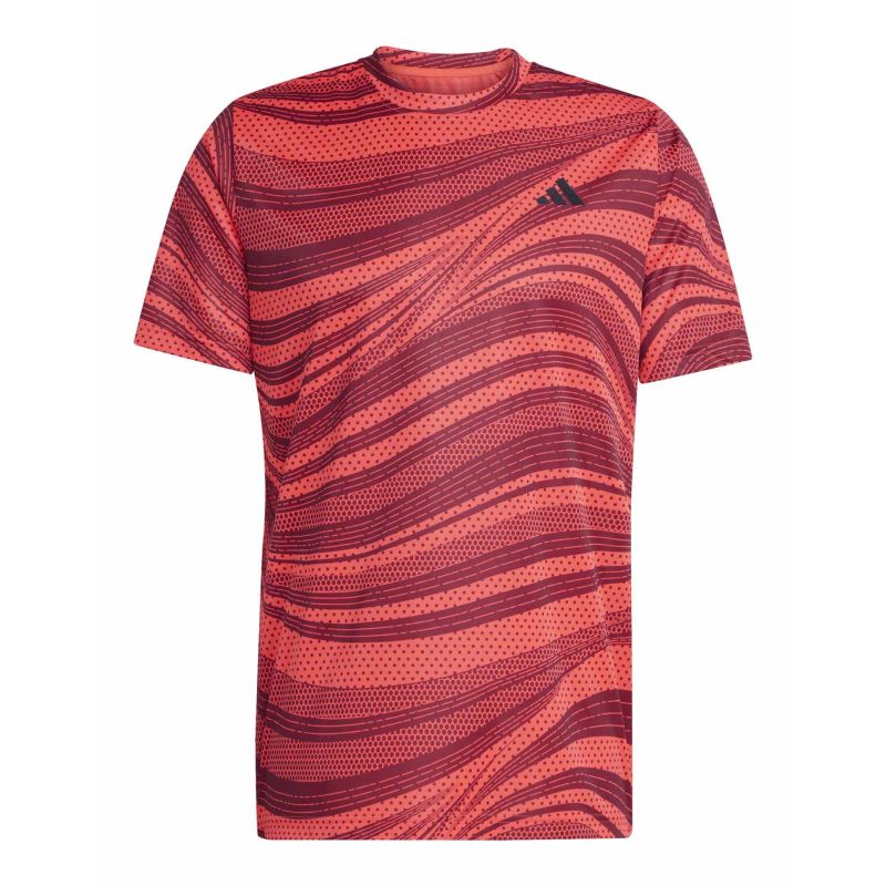 adidas Club Graph Tee M JE0407 adidas