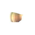 POC Levator Spare Lens POC