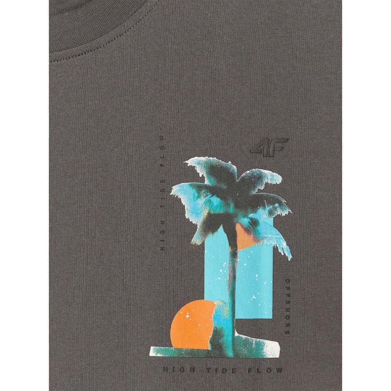 Men's regular printed T-shirt 4F 4FRSS26TTSHM4301-22S