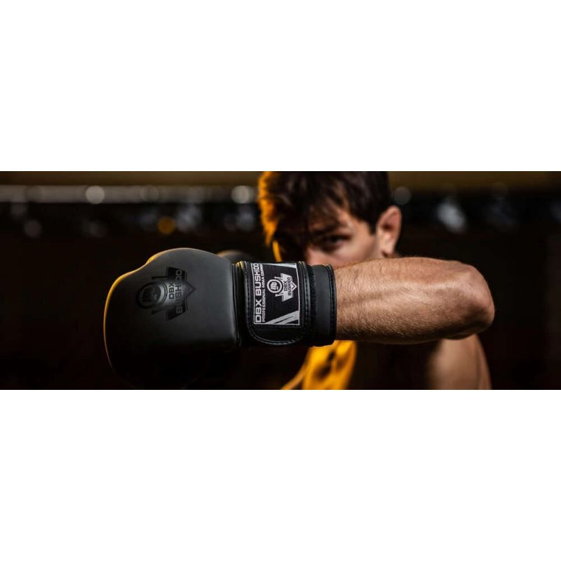 10oz Boxing Gloves - Black Master - Valor Series