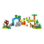 LEGO DUPLO TOWN 10446 Wild Animal Families 3in1 Accessories Your Sports Performance