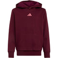 adidas Essentials Hoodie for kids, burgundy KT3380