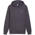 Puma Better Essentials Hoodie FL M 676814 69 Clothing/Lifestyle Puma