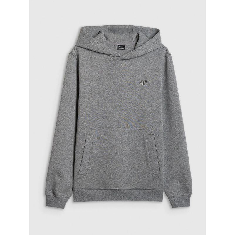 Men's regular hooded sweatshirt 4F 4FRSS26TSWSM2793-24M 4f