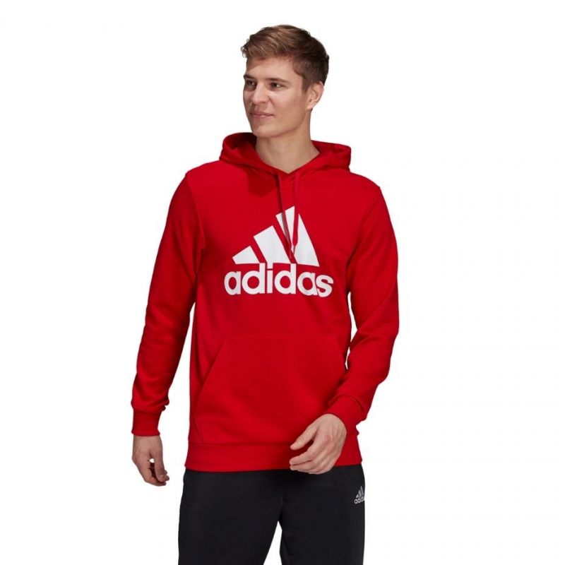 Sweatshirt adidas Essentials Big Logo M GV0249 Clothing/Lifestyle Adidas