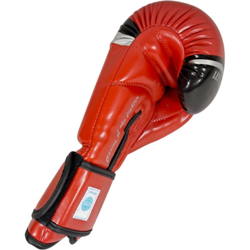 MASTERS RPU-FT Boxing Gloves (WAKO APPROVED) In preparation Your Sports Performance