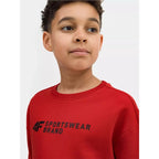 Sweatshirt 4F Jr. 4FJSS23TSWSM222-62S Clothing/Lifestyle/4F 4F