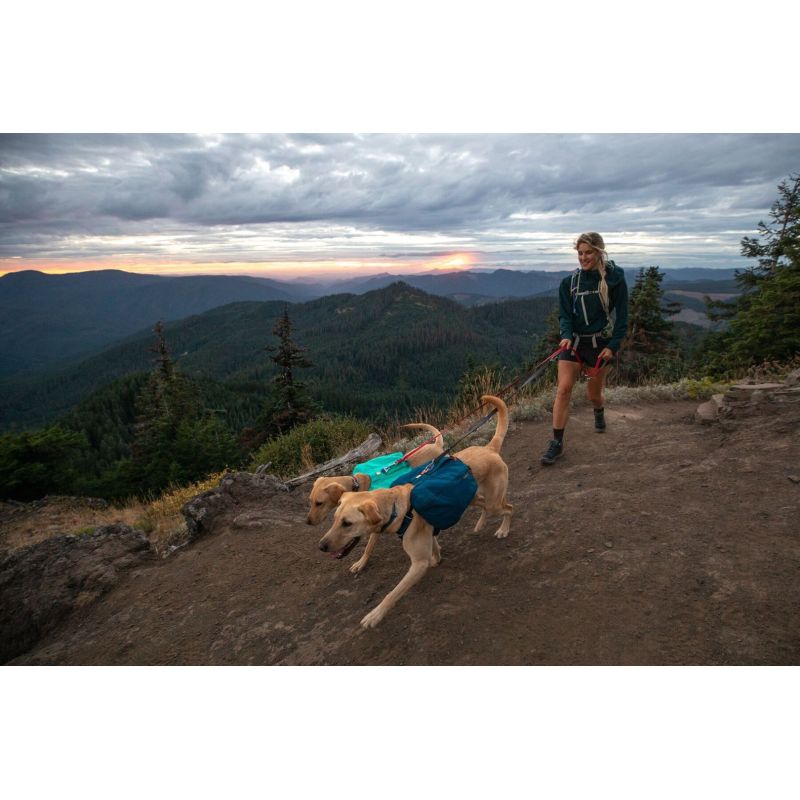 Ruffwear Front Range Day Pack Dog Backpack - Blue Moon Size: XS In preparation Your Sports Performance