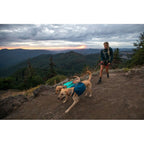 Ruffwear Front Range Day Pack Dog Backpack - Blue Moon Size: XS In preparation Your Sports Performance