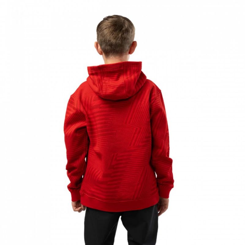 Bauer Graphic Stripe Hoody Jr 1062303 Clothing/Lifestyle/Adler Bauer