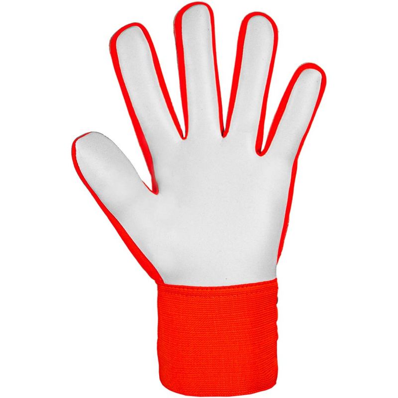 Reusch Attrakt Starter Solid goalkeeper gloves 5470514 2210 Accessories/Gloves Your Sports Performance