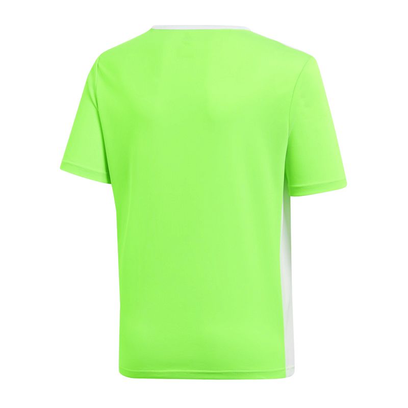 adidas Entrada 18 Jr T-shirt CE9755 adidas