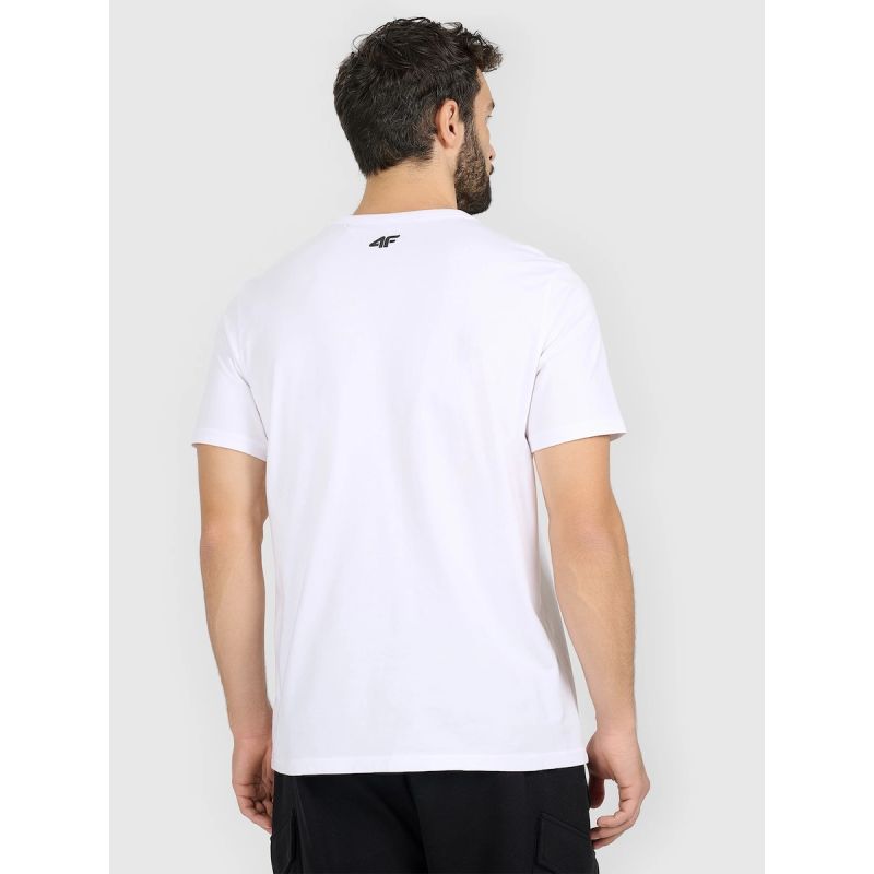 Men's regular printed T-shirt 4F 4FRAW25TTSHM3845-10S 4f
