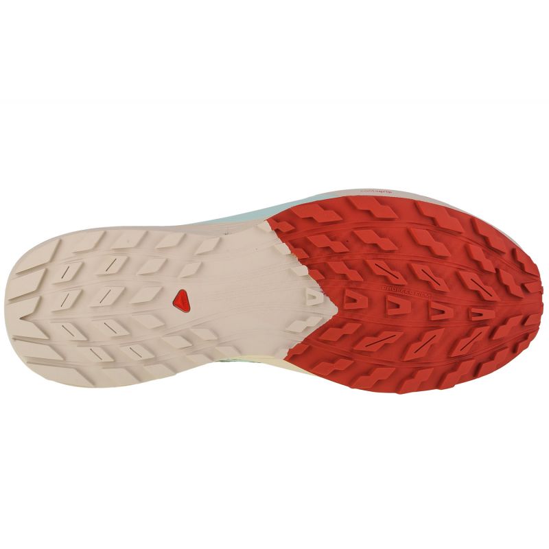 Shoes Salomon Sense Ride 5 M 472117 Footwear/Running/Men Your Sports Performance