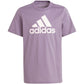 Adidas Essentials Big Logo Cotton Tee Jr IJ7061 Clothing/Training Adidas