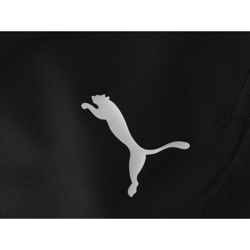 Puma Liga M sweatpants 655317 03 Clothing/Training Puma