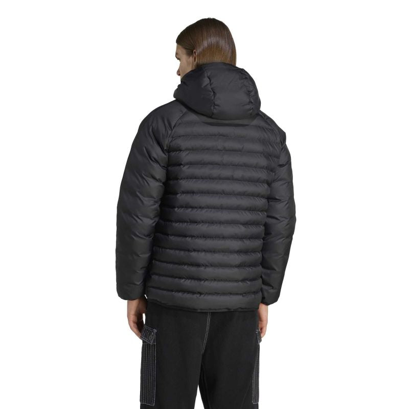 adidas Originals Pad Hooded JX4117 jacket In preparation Adidas